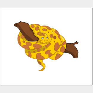 Caramel Burmese Python Posters and Art